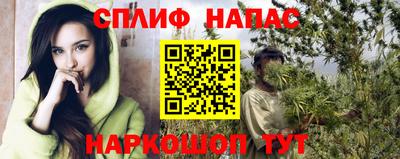a pvp Славгород