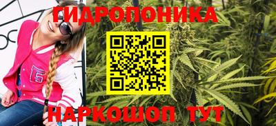 a pvp Славгород