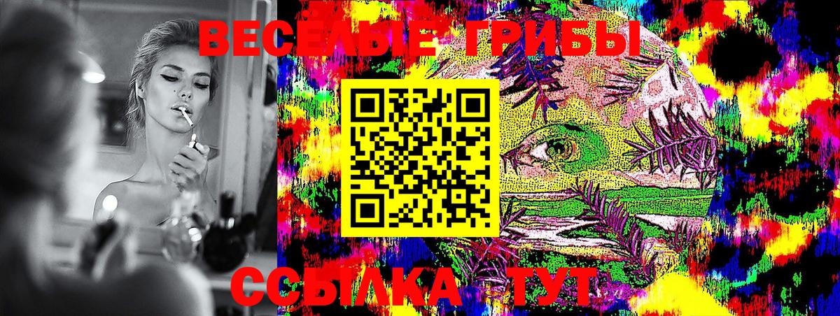 Приморско-Ахтарск  Псилоцибиновые грибы Cubensis  Вход с VPN 